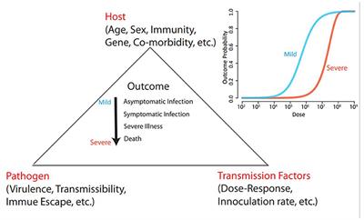 Severity of respiratory tract infections depends on the infectious dose. Perspectives for the next pandemic
